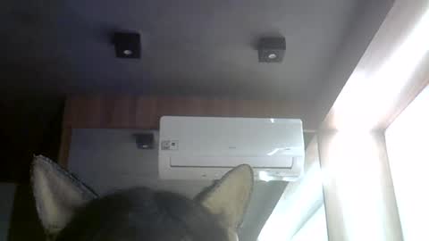 skinnykittencam online show from 08-04-26, 05:59