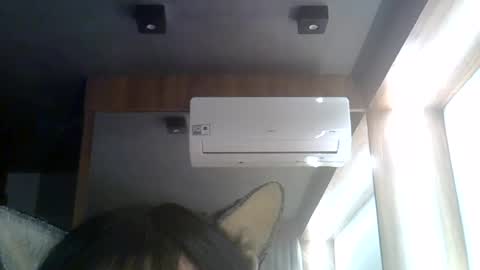 skinnykittencam online show from 08-05-26, 06:16