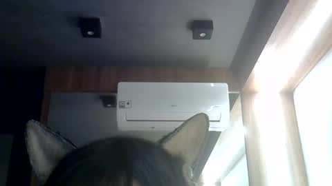 skinnykittencam online show from 08-06-26, 02:30