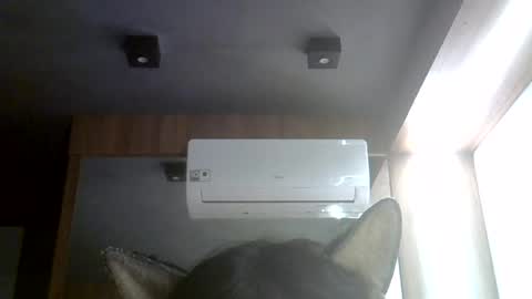 skinnykittencam online show from 08-07-26, 02:57