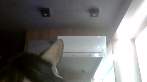skinnykittencam online show from 08-07-26, 05:59
