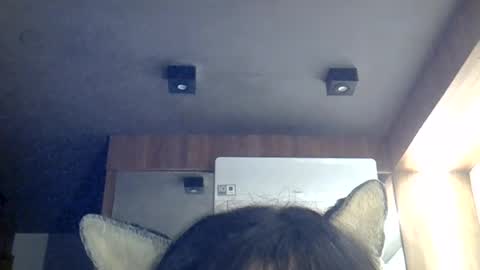 skinnykittencam online show from 08-08-26, 06:10