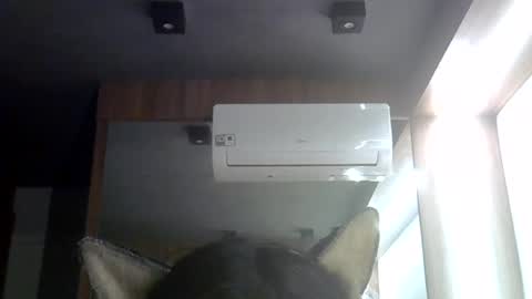 skinnykittencam online show from 08-09-26, 03:34