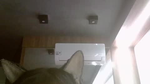 skinnykittencam online show from 08-09-26, 05:51