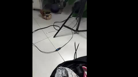 skinnylatin69 online show from 01-20-25, 02:32