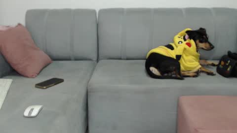 skinnylatin69 online show from 02-08-25, 02:26