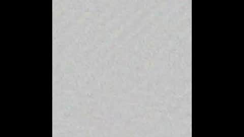 sknox2110 online show from 01-15-25, 09:45
