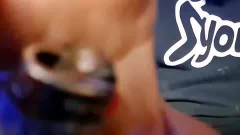 skunk8p online show from 01-11-26, 06:29