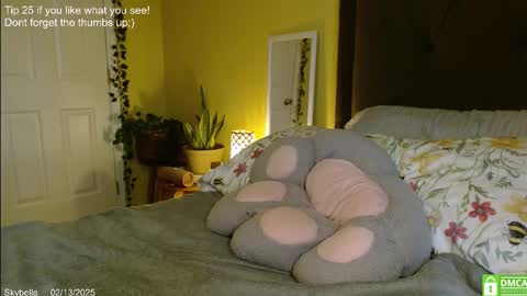 Snapshot of skybella_ chatting on 02-13-25, 04:28 Skylar online show from 02-13-25, 04:28