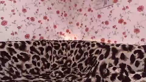 Sky online show from 12-04-24, 01:09