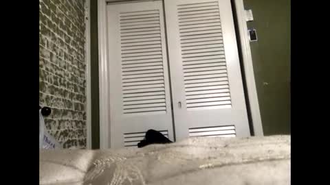 Snapshot of slangindopee chatting on 01-22-25, 11:56 Slangindopee online show from 01-22-25, 11:56