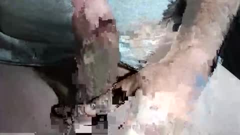 Z online show from 09-13-25, 10:31