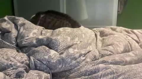 Snapshot of slice5 chatting on 12-21-25, 09:49 slice5 online show from 12-21-25, 09:49