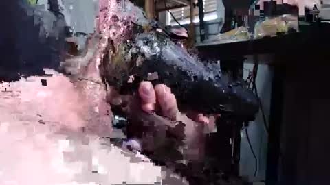 sliderguy699 online show from 12-15-24, 04:59