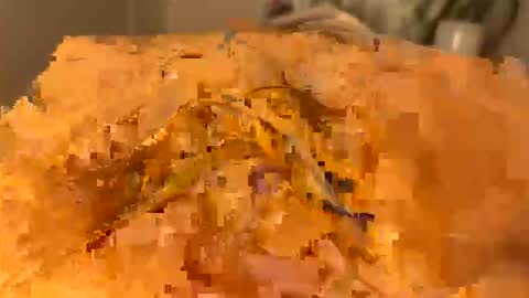 slipmytip online show from 12-05-25, 11:08