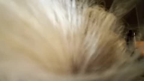 Fun time online show from 04-04-26, 11:51