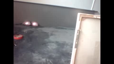 Snapshot of slutviki chatting on 02-15-26, 10:14 slutviki online show from 02-15-26, 10:14