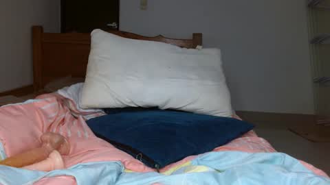 brenda online show from 10-20-25, 04:51