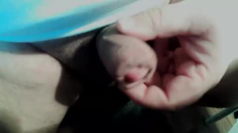 Small Pekka online show from 02-11-26, 03:50