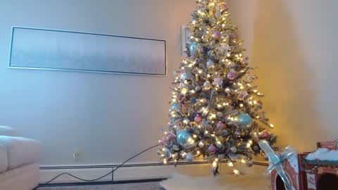 Smexy online show from 12-01-24, 05:24
