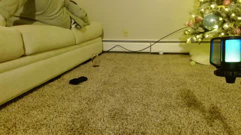 Smexy online show from 12-09-24, 02:24