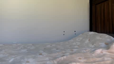 Colombiandime online show from 12-13-24, 06:16