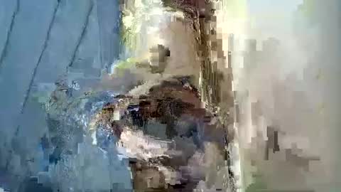 smiley_berry online show from 09-30-25, 07:30