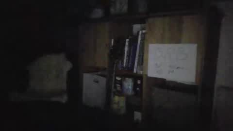 smileing hillbilly online show from 01-27-25, 04:30