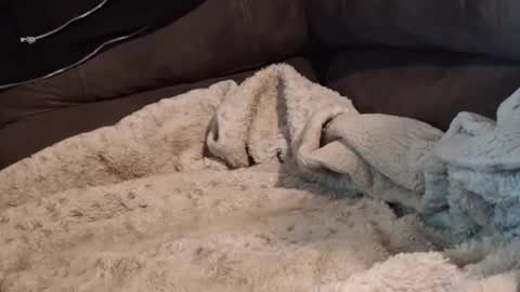 Snapshot of smitten_kitten1313 chatting on 02-22-26, 02:34 smitten_kitten1313 online show from 02-22-26, 02:34