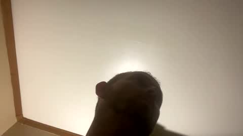 Snapshot of smokeymt420 chatting on 03-08-25, 06:54 smokeymt420 online show from 03-08-25, 06:54