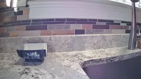 Snapshot of smthbtm53 chatting on 03-14-26, 01:16 smthbtm53 online show from 03-14-26, 01:16