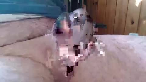 sn0man69 online show from 01-06-25, 02:47