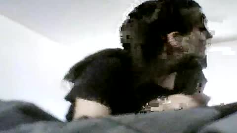 Snapshot of sn0wman071 chatting on 06-20-26, 06:22 sn0wman071 online show from 06-20-26, 06:22