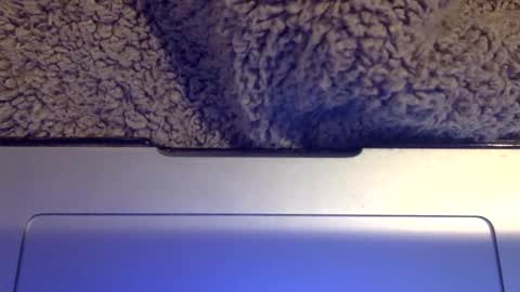 Snapshot of snowpapi79260 chatting on 01-21-25, 08:52 snowpapi79260 online show from 01-21-25, 08:52