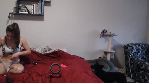Snapshot of sofi_delightful chatting on 12-12-24, 11:29 Sofi online show from 12-12-24, 11:29