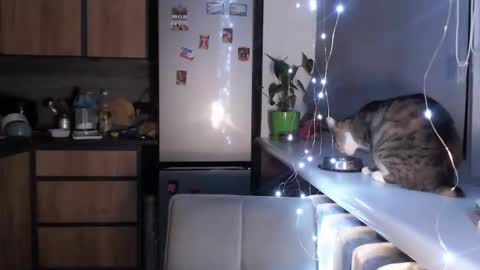 Snapshot of sofi_delightful chatting on 01-19-25, 10:39 Sofi online show from 01-19-25, 10:39