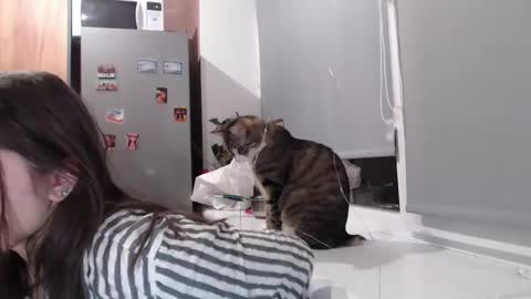 Snapshot of sofi_delightful chatting on 02-11-25, 07:38 Sofi online show from 02-11-25, 07:38