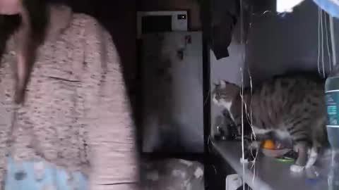 Sofi online show from 12-14-25, 08:02