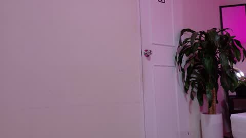 sofia__salazar online show from 02-05-26, 11:48