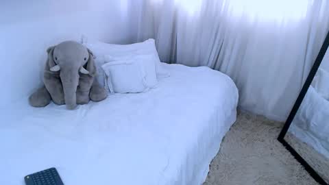 sofia Ill be back on Tuesday June 4.  online show from 02-13-25, 05:01