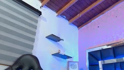 Sofia online show from 10-11-25, 03:39