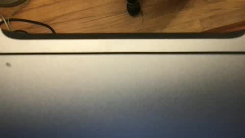 Snapshot of soflastiffyboy69 chatting on 11-13-25, 08:19 soflastiffyboy69 online show from 11-13-25, 08:19