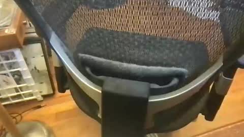 soflastiffyboy69 online show from 05-17-26, 04:58