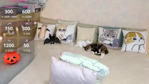 Mia online show from 10-31-25, 07:37