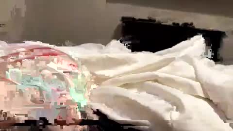 Snapshot of softslickandsweet chatting on 02-04-25, 06:49 softslickandsweet online show from 02-04-25, 06:49