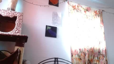 Sofia online show from 01-06-26, 12:09