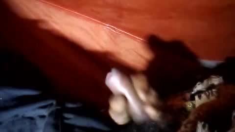 soksobai46 online show from 02-10-26, 10:19