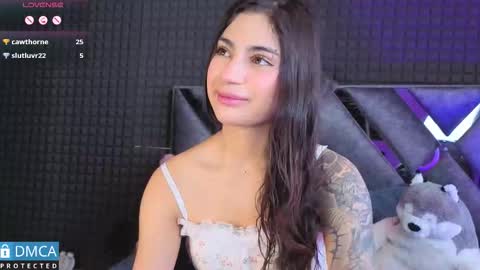 Snapshot of solbeaumont chatting on 11-15-25, 07:10 Sol online show from 11-15-25, 07:10