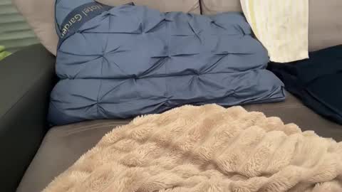 Tayla online show from 02-28-26, 11:11