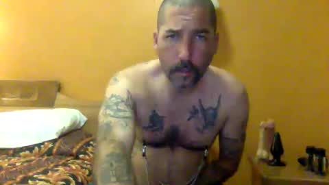 Snapshot of sontoddy chatting on 12-19-24, 03:51 Ryan online show from 12-19-24, 03:51